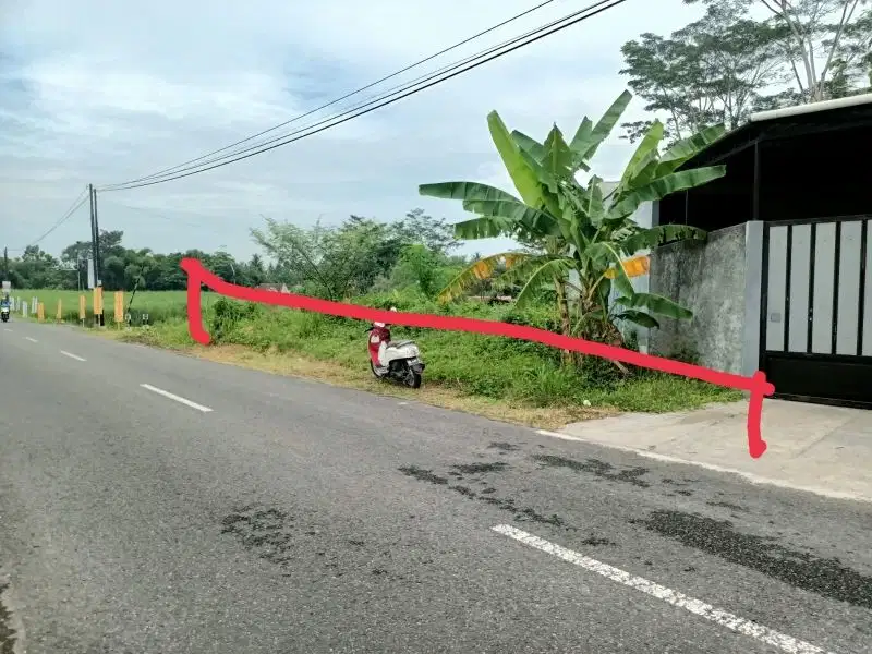 Dijual Tanah Pekarangan Dekat Pasar Bibis Sidomulyo Godean