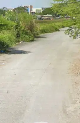 KAVLING MURAH GUNUNG ANYAR DEKAT PERUM AMESTA UPN JUANDA MERR