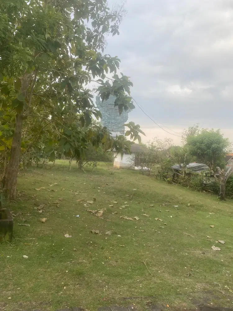 Disewakan tanah 10 are kawasan GWK ungasan 11 juta /are /th