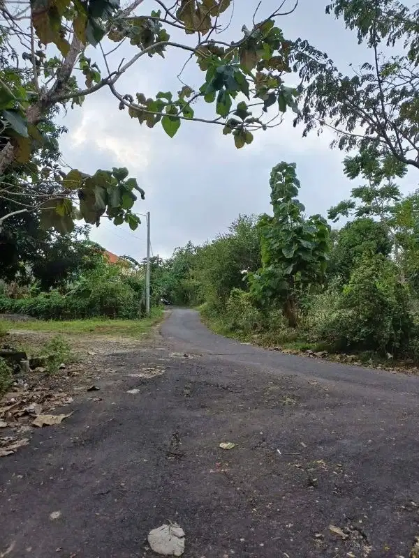 tanah dekat Pandawa beach kutuh Badung Bali