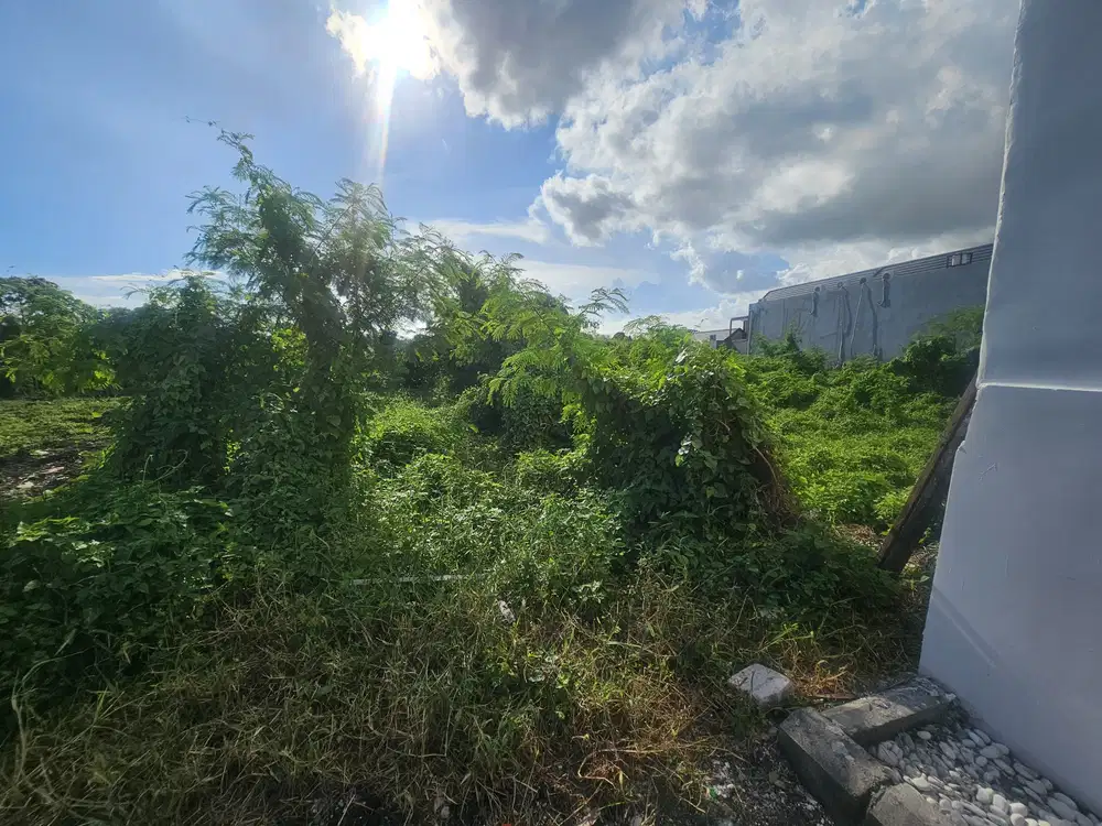dijual tanah komersil lokasi canggu