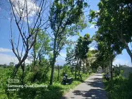 Dijual tanah sawah view merapi di jl palagan