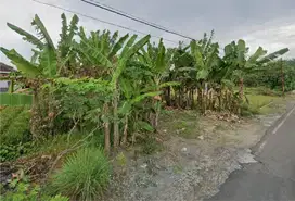 Tanah di Pusat keramaian kota Sukoharjo cocok untuk perumahan