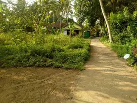 Dijual tanah Pekarangan Strategis di sidoluhur godean