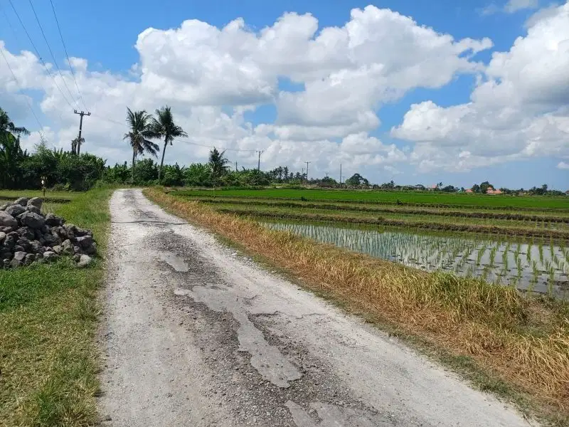 dijual Tanah lokasi pantai kelanting