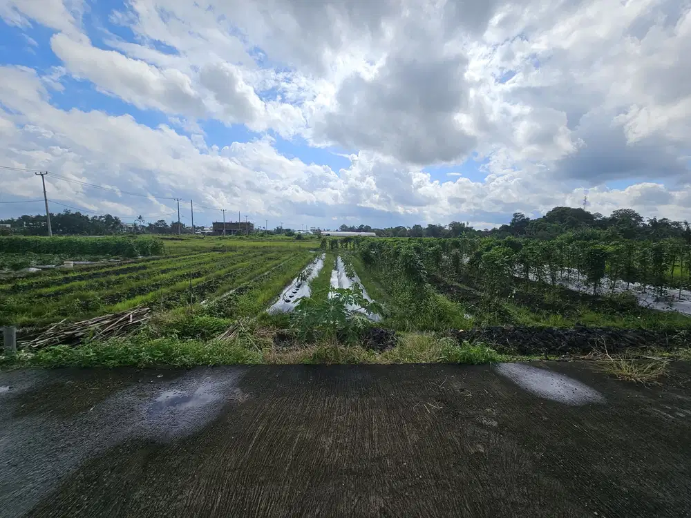 dijual tanah premium lokasi kedungu tabanan