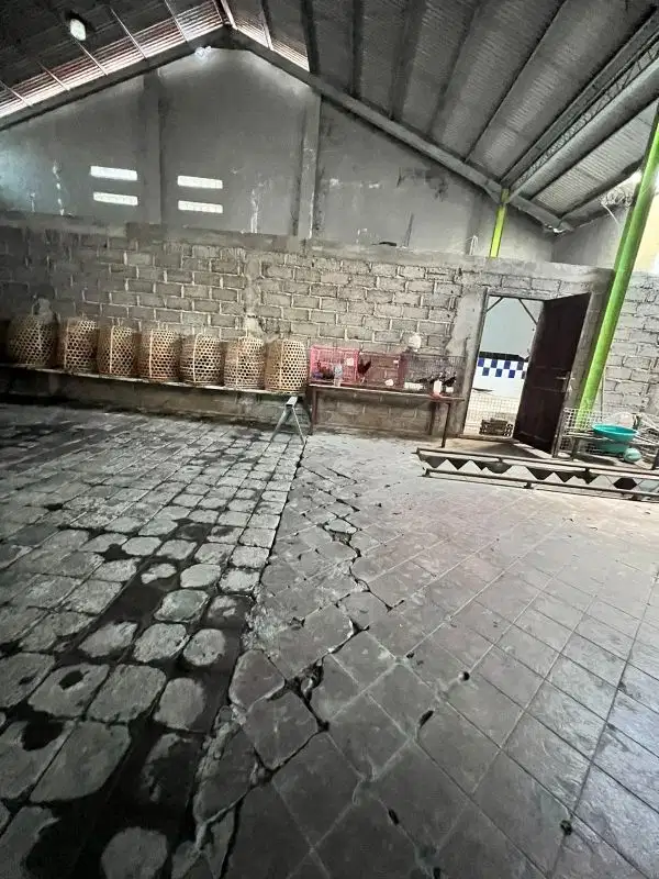 DIJUAL TANAH LOKASI BUANA RAYA DENPASAR BARAT