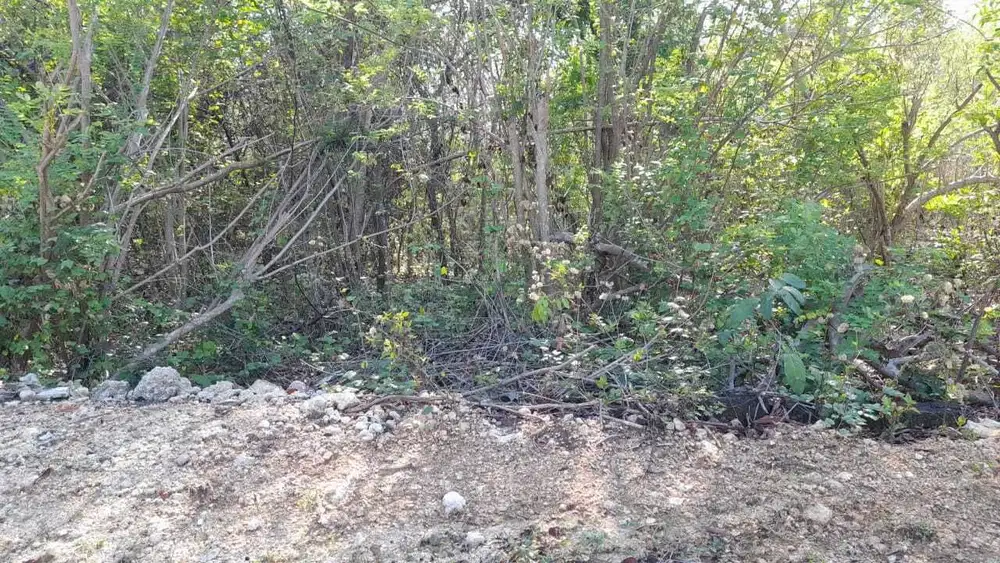 Dijual tanah 900 m² kawasan ocean blue nusa dua badung bali