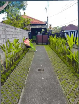 Di Jual Rumah Dekat stadion Dipta Gianyar dekat ke Ubud