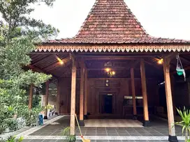 Dijual Rumah Homestay Joglo di Pendowoharjo Sleman