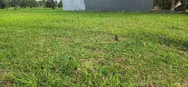 JUAL SECEPAT KILAT ! Tanah Kavling Suvarna Sutera view golf 299m2
