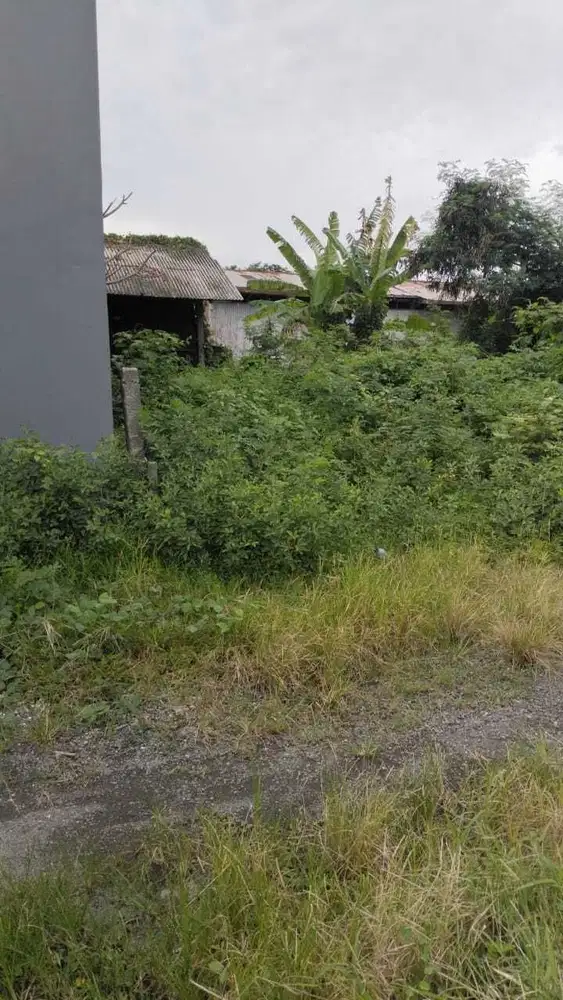 Jual Tanah 1 Are Lingk Villa di MUNGGU Pemaron