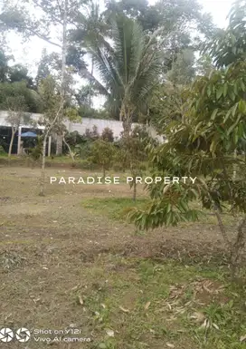 Dijual Tanah Kebun di Ngantang