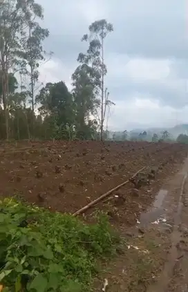 Tanah kebun dekat Wisata Rahong, Riunggunung Pangalengan