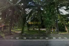 Jual Tanah Jalan Soekarno Hatta - Binjai KM17 (Dkt Jl. Lintas Sumatra)