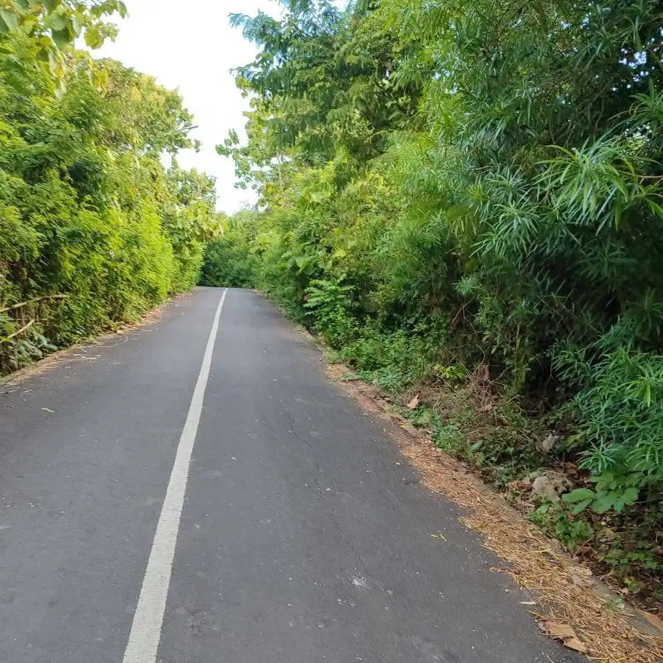 Land for sale benoa south kuta bali