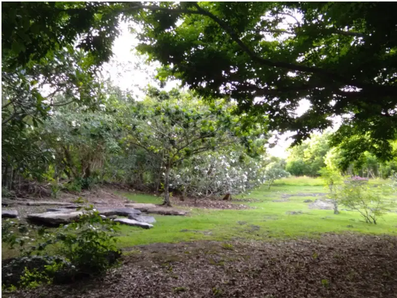 TANAH MURAH 2,9 HEKTAR DEKAT PANTAI PANDAWA/BALI CLIFT