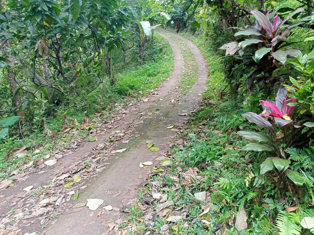 Dijual tanah  tabanan Antosari dekat exit tol tabanan soka