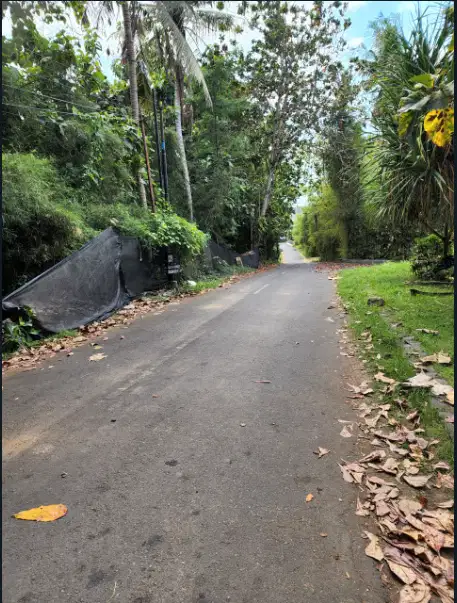Disewakan tanah murah 4 hektar di Gianyar