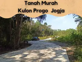 Akses Mobil Papasan, Tanah Hunian Jogja Murah, Area Wates