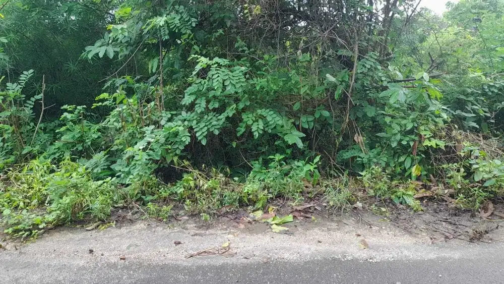 DI JUAL TANAH LOKASI GAYANG SARI