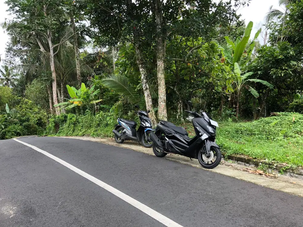 Dijual tanah kebun selemadeg tabanan