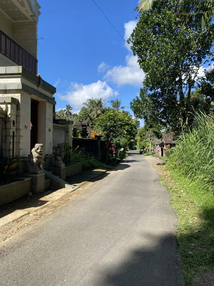 Jual tanah kliki dekat ubud gianyar