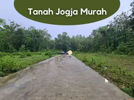 Tanah Hunian Murah Jogja Dijual, Strategis Panjatan Wates
