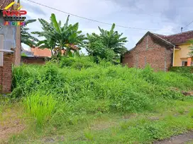 Dijual Tanah Kavling Siap Bangung di Jalan Ikan Wijinongko, Banyuwangi