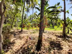 Dijual Tanah Strategis Di 0 Jl. Lingkar Ketapang - Banyuwangi