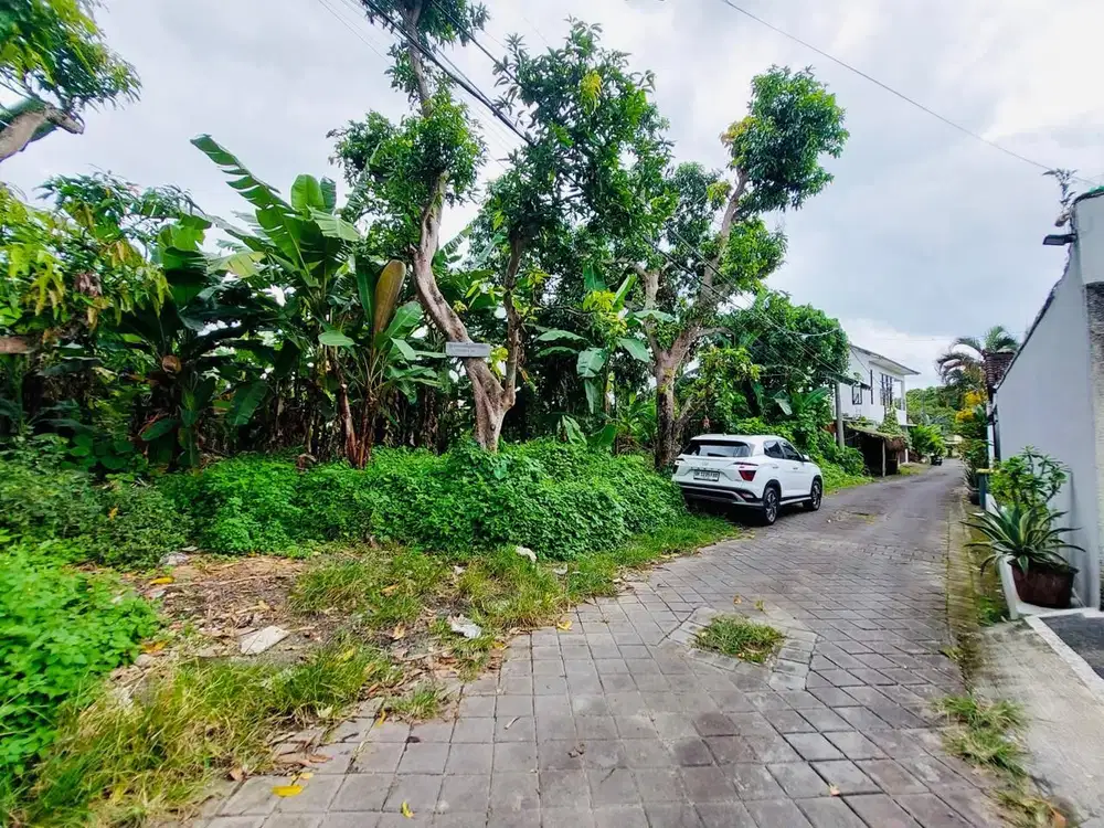 Tanah Tumbak bayuh Canggu Badung Bali