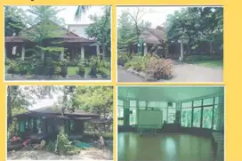 Tanah Murah Di Wiyung 2 Jtan Per Meter Siap Buat Bangun Perumahan