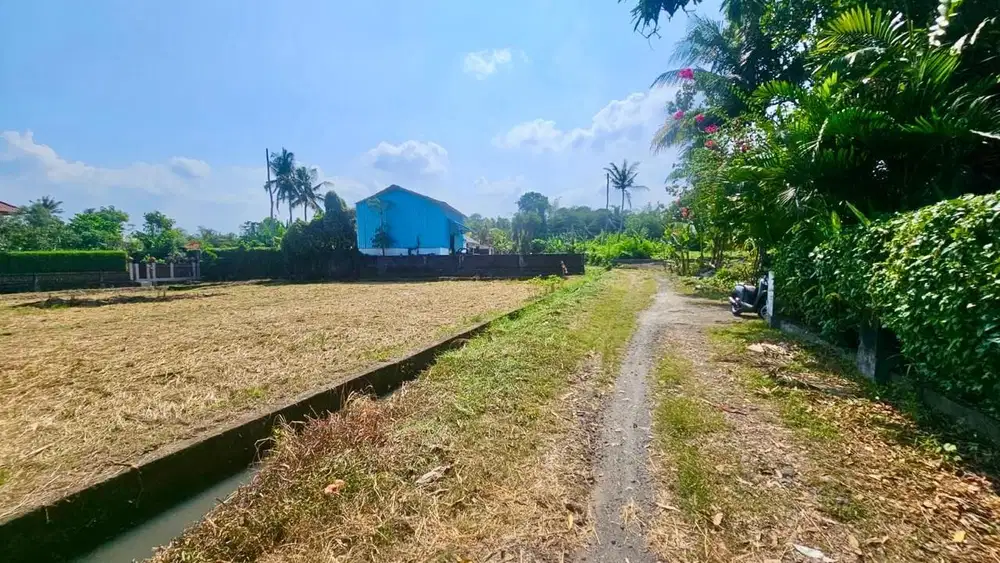 Tanah Tibu Biyu Kerambitan Tabanan