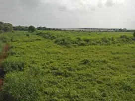 Dijual Tanah Industri Strategis Siap Bangun di Subang Dekat Tol