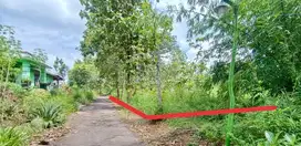 Jual Tanah murah pekarangan di kota karangmojo Gunung Kidul strategis