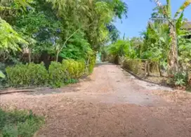 Tanah Bolon 1750Mt, Ld -+ 58Mt, dekat Jalan Tentara Pelajar, Colomadu