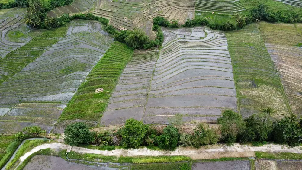 dijual tanah komersil lokasinpasut tabanan