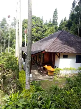 DIJUAL VILLA KAYU LUAS TANAH BESAR COCOK UNTUK CAFFE
