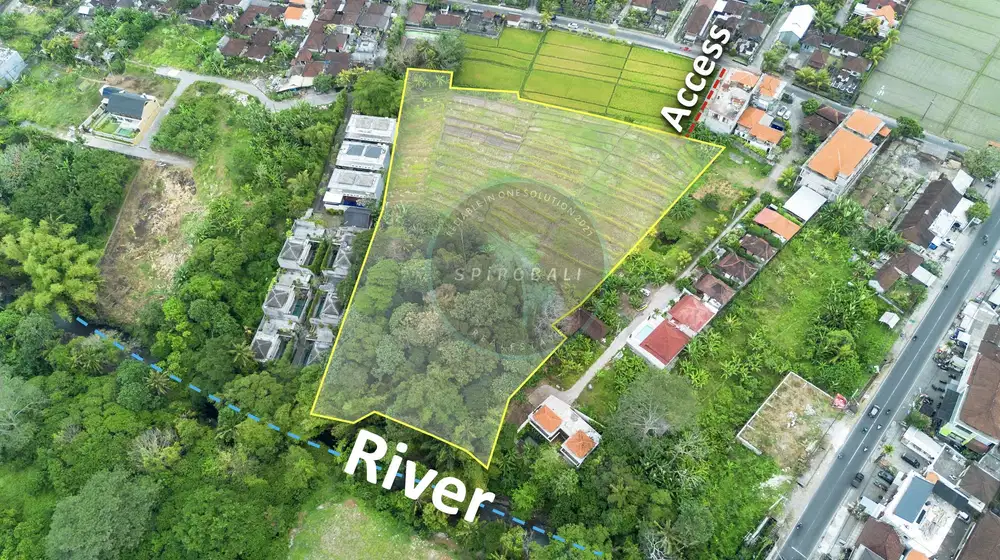 Dijual Tanah di Pantai Nyanyi Seseh 1Ha Ricefield View