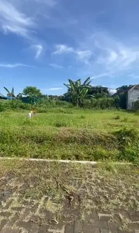 Tanah dijual di ngenep karangploso Malang Lt273 SHM 480jt