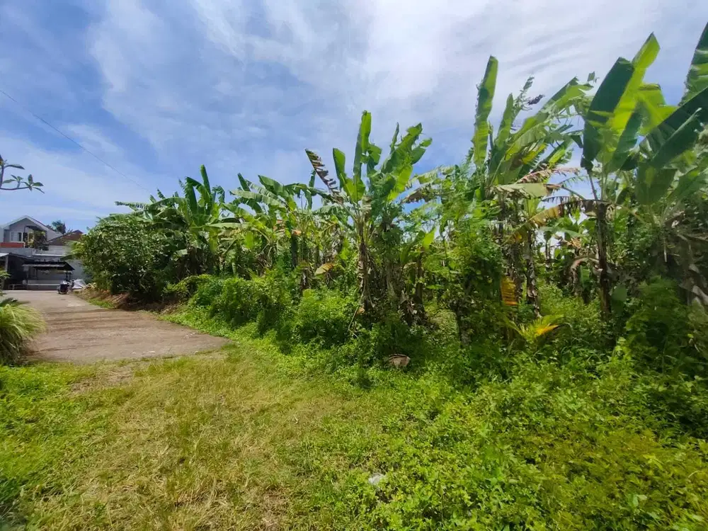 TANAH DI DALUNG DEKAT CANGGU VIEW SAWAH