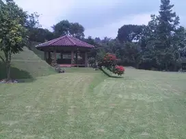 Jual cepat tanah Puncak cisarua Bogor