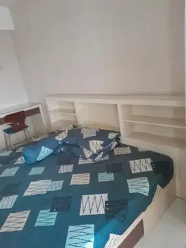 Dijual Murah‼Educity Tower Stamford Tinggal Bawa Koper