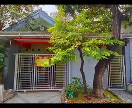 Rumah Siap Huni dijual Murah Lokasi Perum Rewwin Waru Sidoarjo