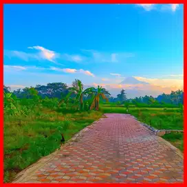 Dijual Tanah Pekarangan View Merapi Kaliurang Jogja