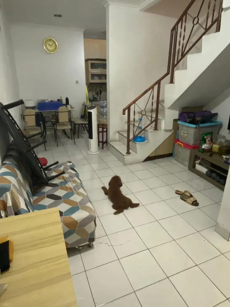 Dijual cepat rumah Taman Palem Lestari