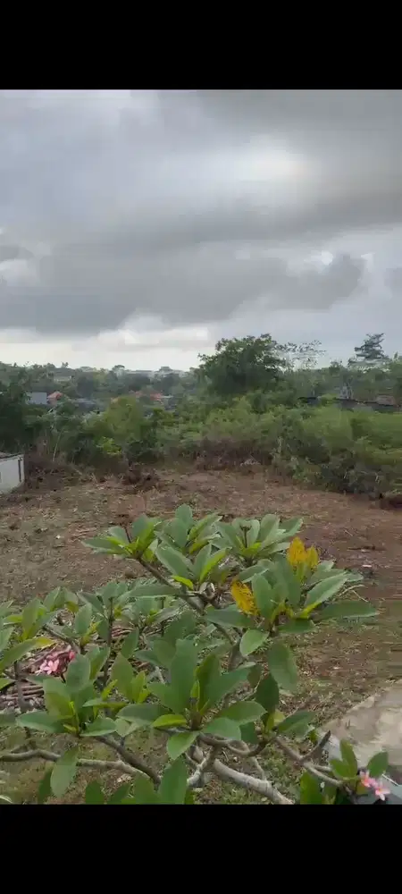 Tanah 6,5 are kawasan Villa toyaning 1 Ungasan Badung Bali