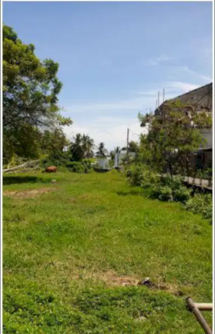 Tanah Murah Dkt Pantai Pererenan