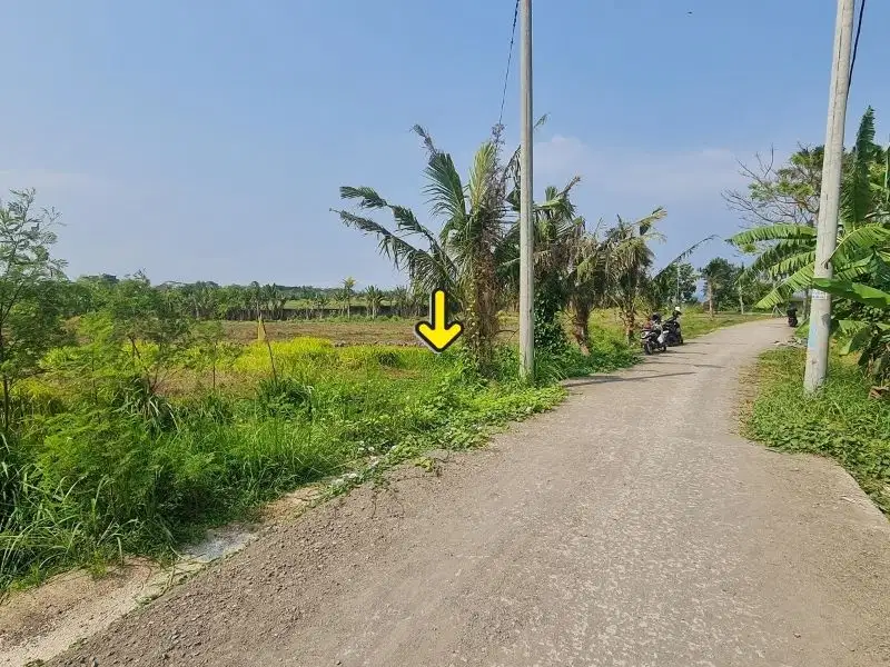 Tanah pantai Kedungu