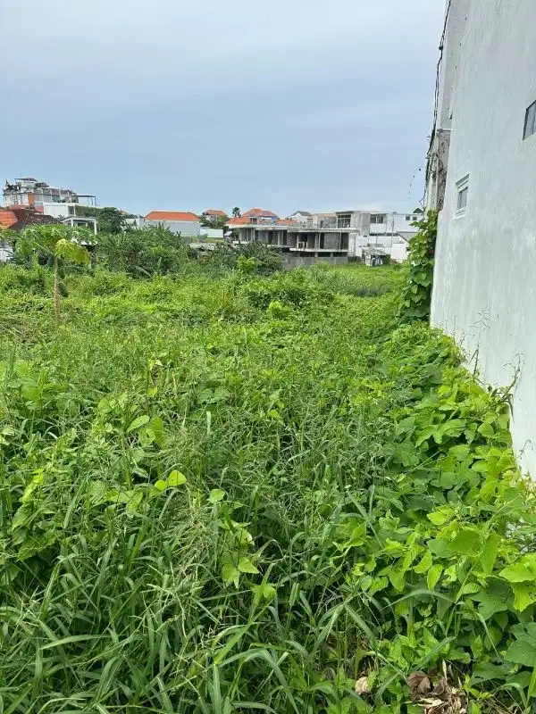 Tanah Padonan Canggu Badung